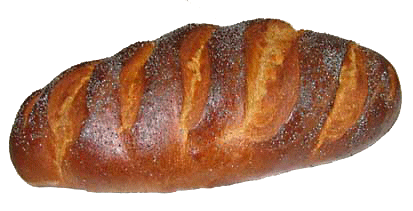 Buckwheat