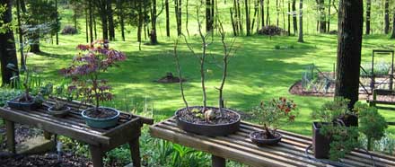 Display Bench